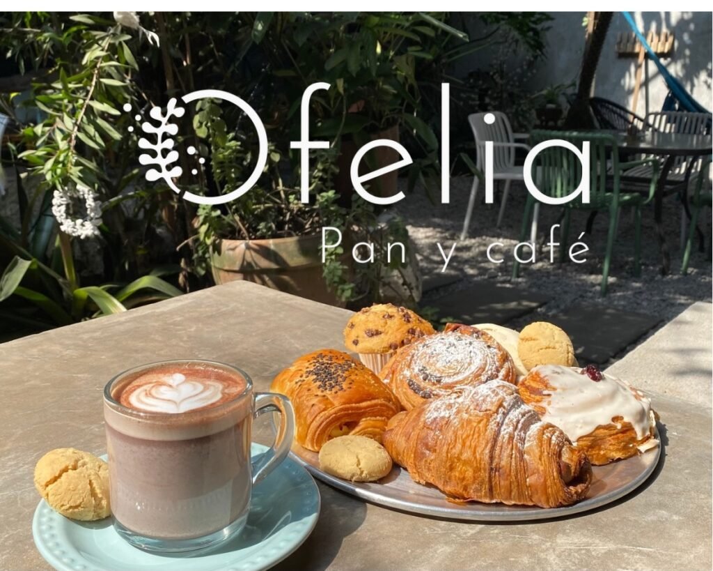 Pan artesanal recién horneado en Ofelia Pan y Café Coatepec con rollos de canela