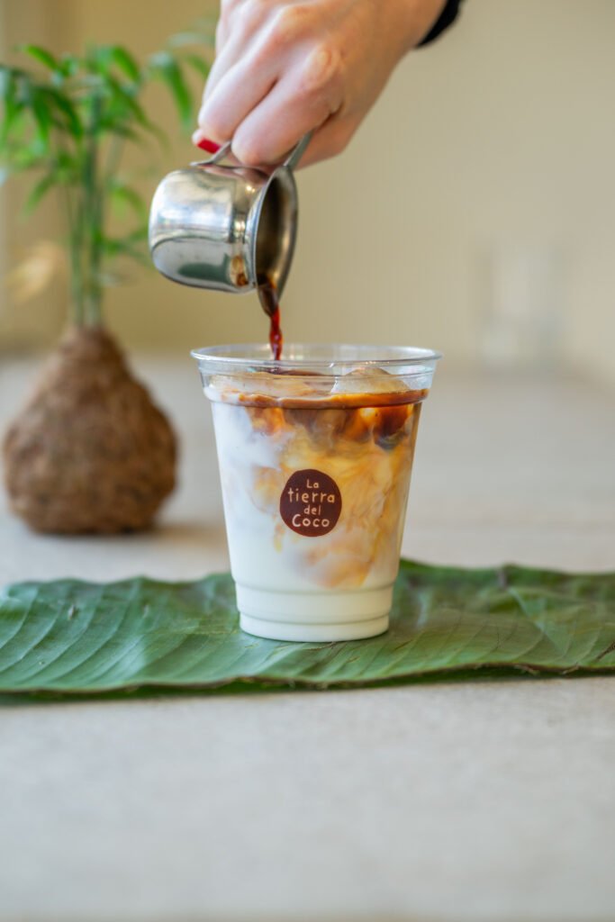 Latte artístico en La Tierra del Coco cafetería tropical en Xalapa